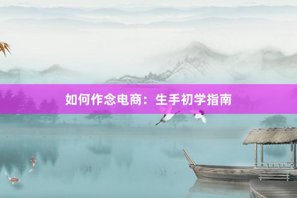 如何作念电商：生手初学指南
